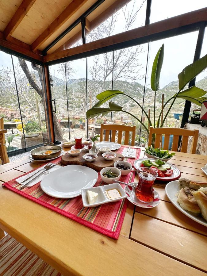 Homestay Sakli
