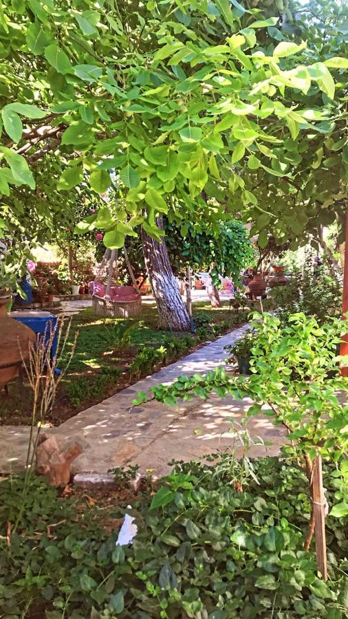 Homestay Sakli