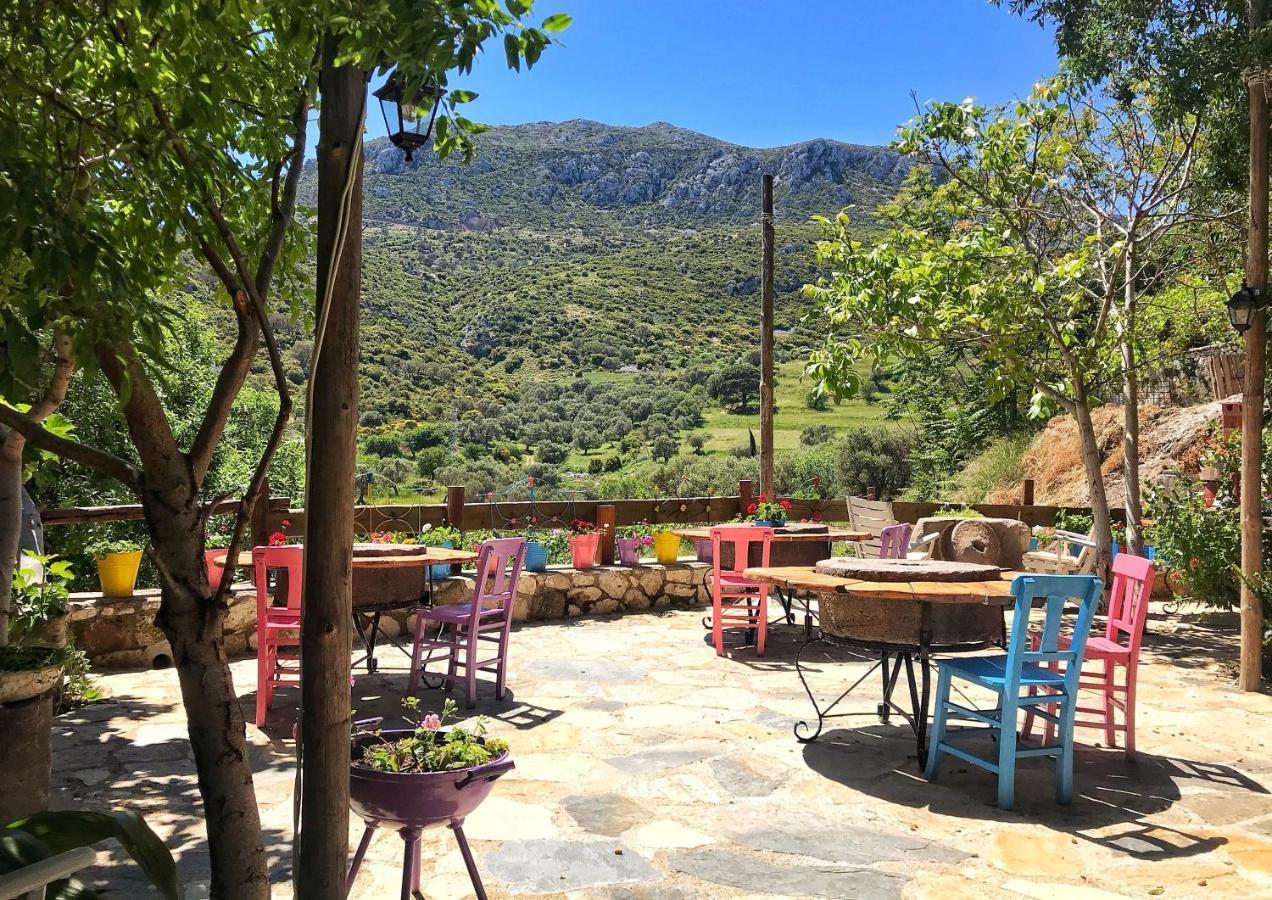 Sakli Homestay Karaburun (Izmir)